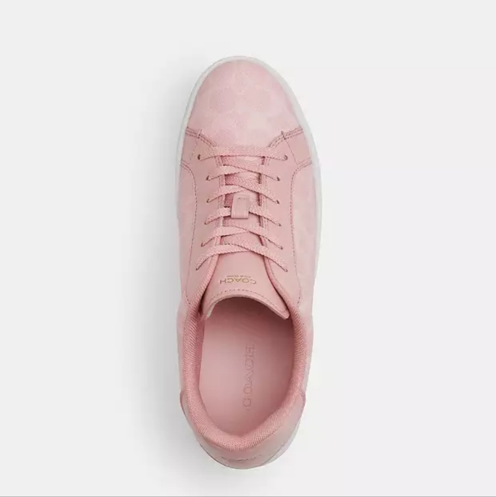 New!!! Coach Women's High Line Signature CC In Pink Sneakers - Picture 4 of 7